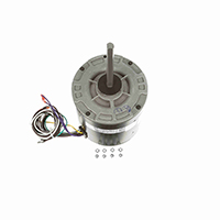 ECONOMaster Condenser Fan Motor