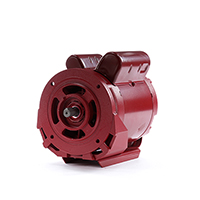 Electric Hot Water Circulator Pump Motor 115/208-230V 1800 RPM 1/2 HP